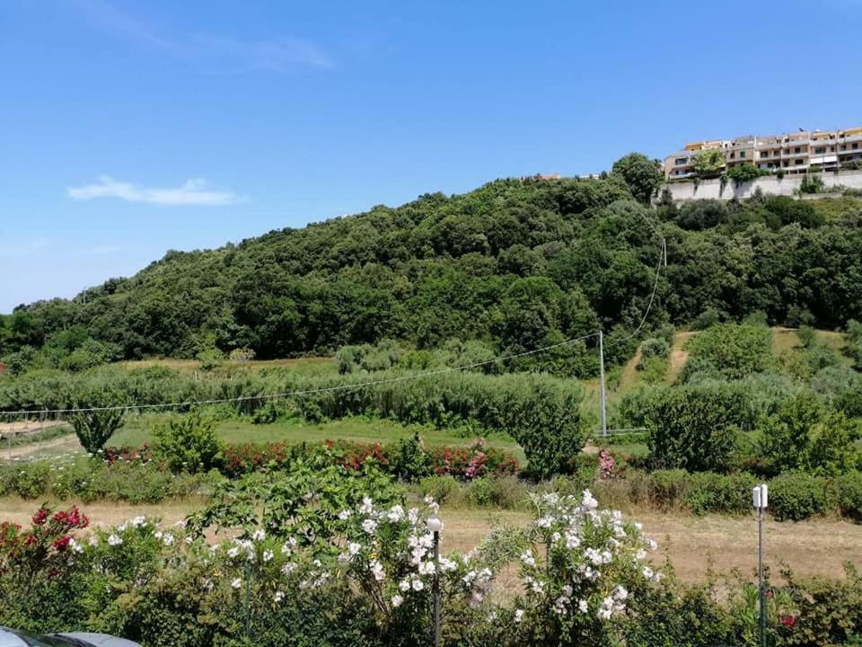 Bed and Breakfast Zio Tonino Termoli Exteriér fotografie